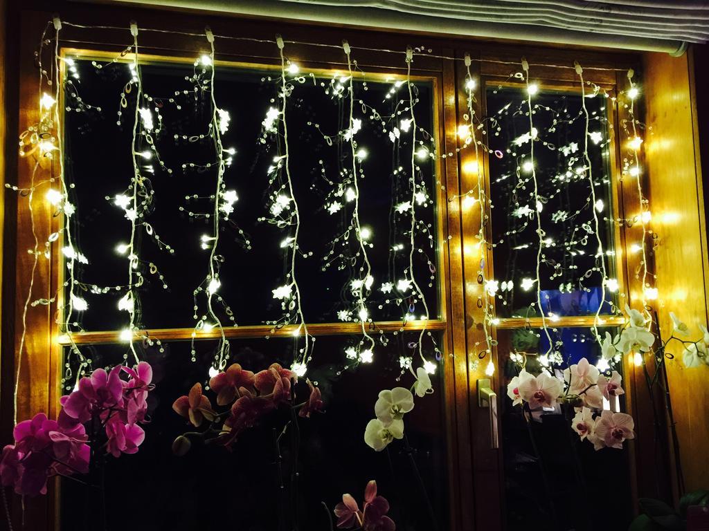 B&B Kookhai Kluisbergen Ngoại thất bức ảnh