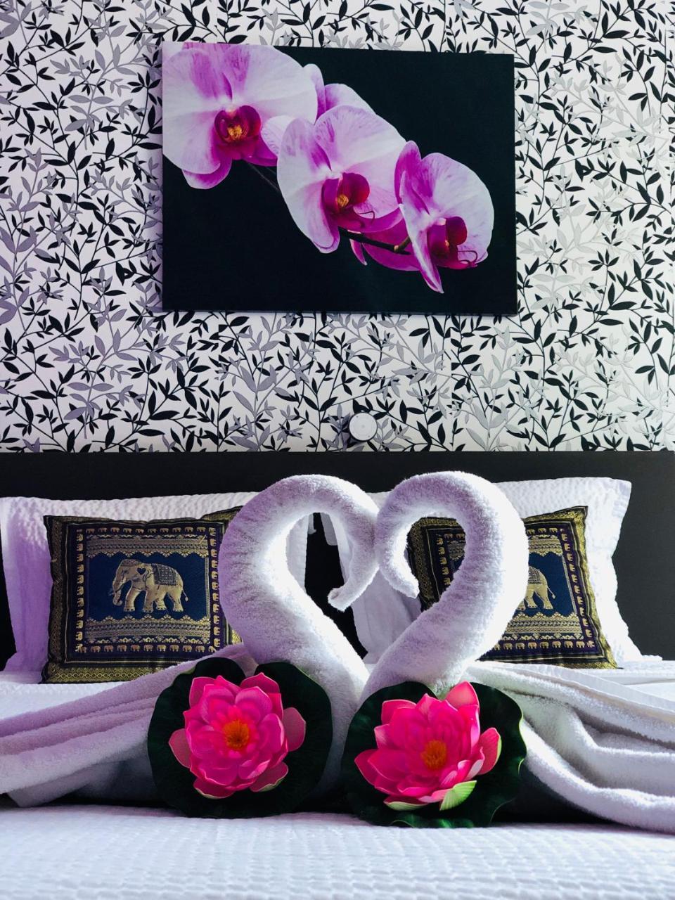 B&B Kookhai Kluisbergen Ngoại thất bức ảnh